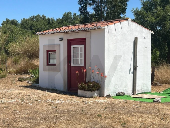Moradia T3 para Venda em São Vicente do Paul e Vale de Figueira Foto 14