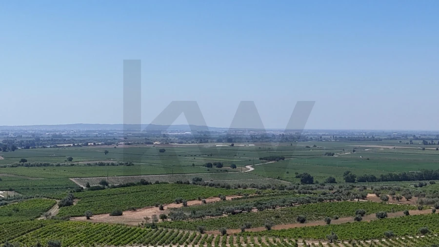 Moradia T3 para Venda em São Vicente do Paul e Vale de Figueira Foto 75