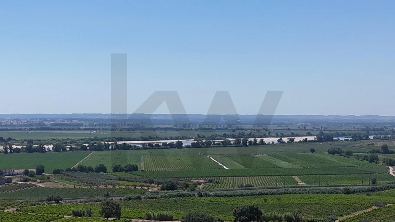 Moradia T3 para Venda em São Vicente do Paul e Vale de Figueira Foto 77