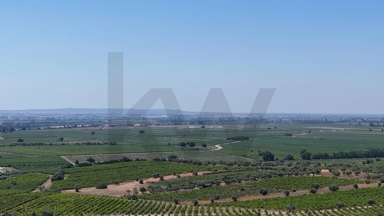 Moradia T3 para Venda em São Vicente do Paul e Vale de Figueira Foto 75