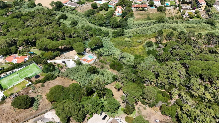 Terreno para Venda em Colares Foto 5