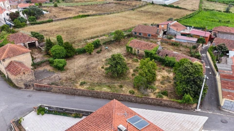 Terreno para Venda em Branca