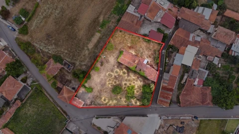 Terreno para Venda em Branca