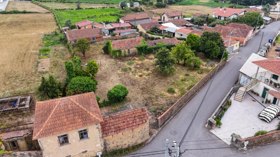 Terreno para Venda em Branca Foto 4