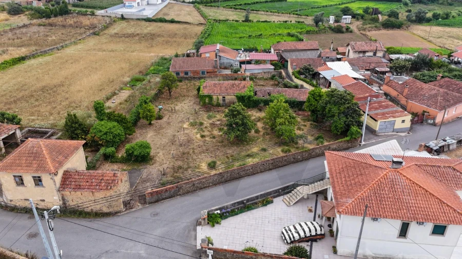 Terreno para Venda em Branca
