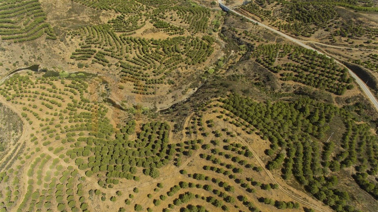 Terreno Agricola ou Rústico para Venda em Vaqueiros Foto 6