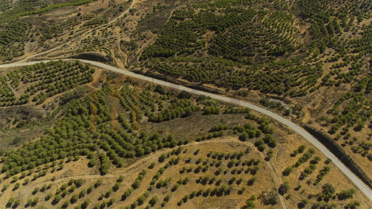 Terreno Agricola ou Rústico para Venda em Vaqueiros Foto 14