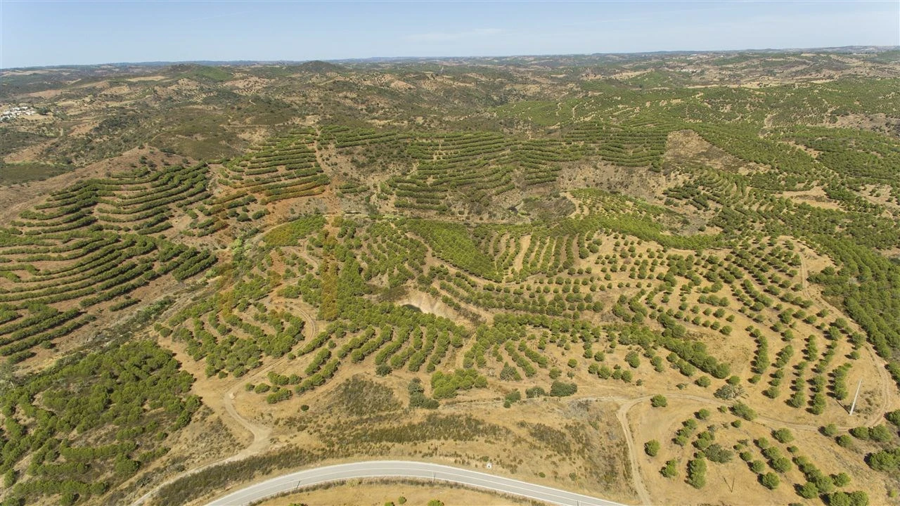 Terreno Agricola ou Rústico para Venda em Vaqueiros Foto 15