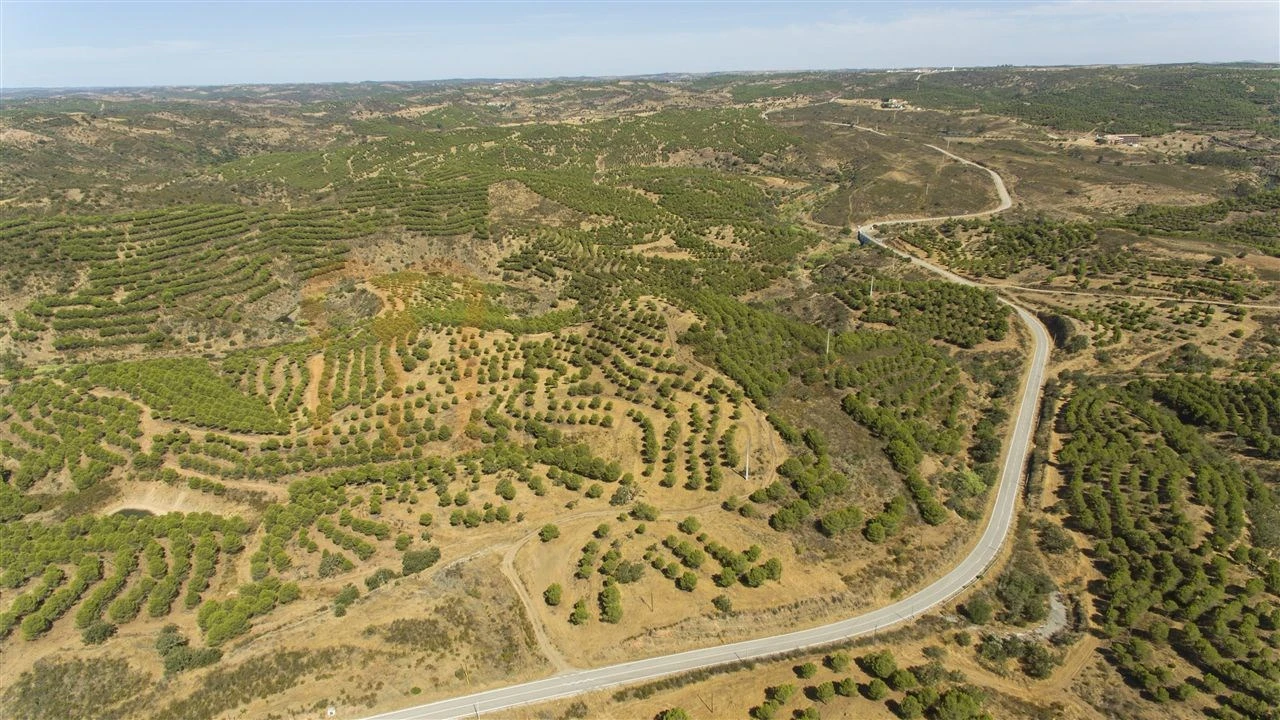 Terreno Agricola ou Rústico para Venda em Vaqueiros Foto 2