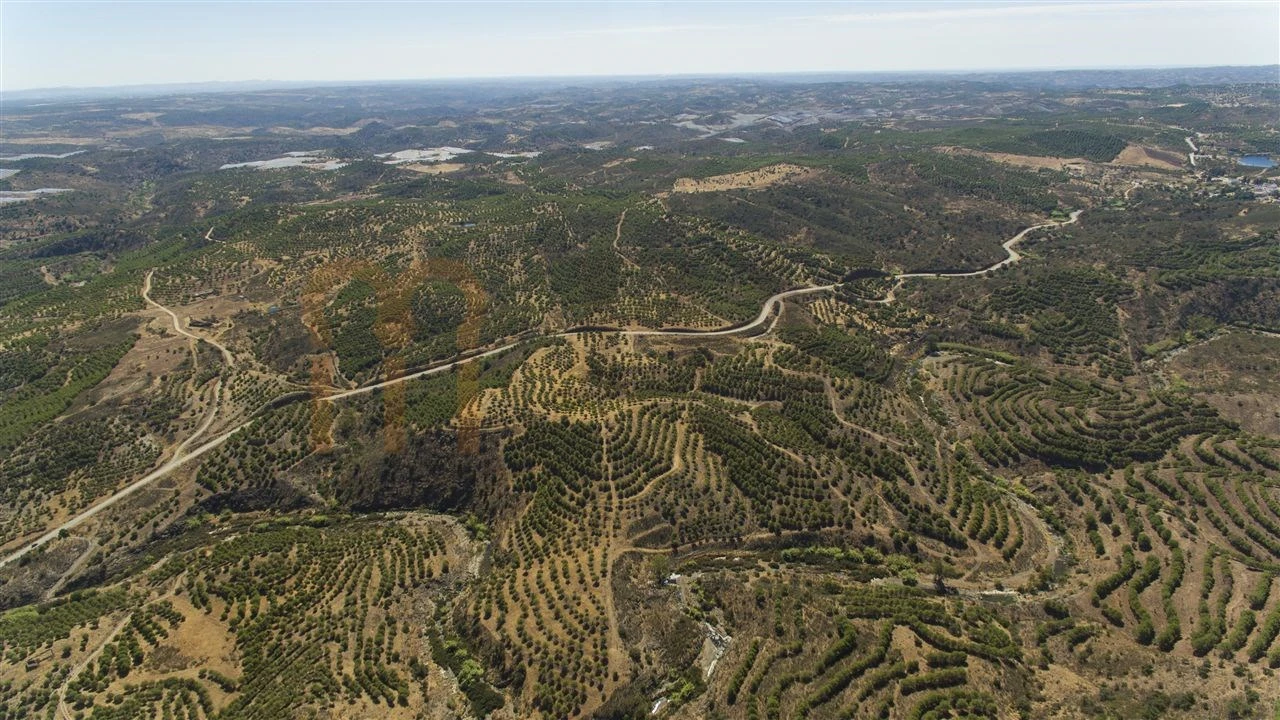 Terreno Agricola ou Rústico para Venda em Vaqueiros Foto 19