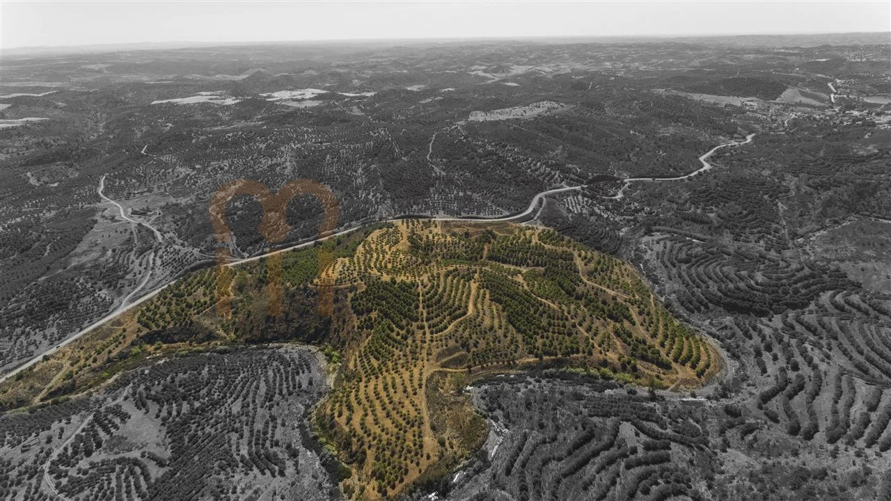 Terreno Agricola ou Rústico para Venda em Vaqueiros Foto 20