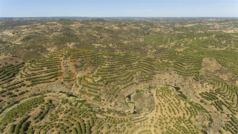Terreno Agricola ou Rústico para Venda em Vaqueiros