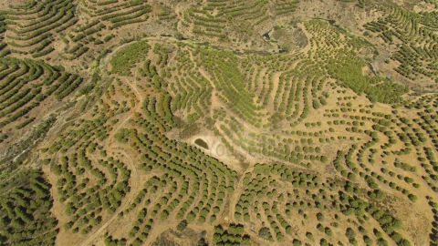 Terreno Agricola ou Rústico para Venda em Vaqueiros