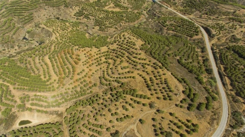 Terreno Agricola ou Rústico para Venda em Vaqueiros