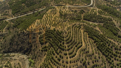 Terreno Agricola ou Rústico para Venda em Vaqueiros