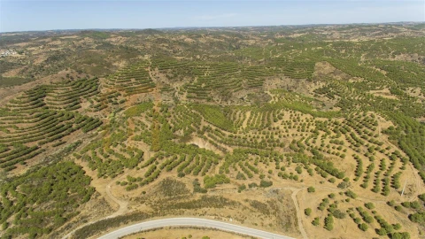 Terreno Agricola ou Rústico para Venda em Vaqueiros