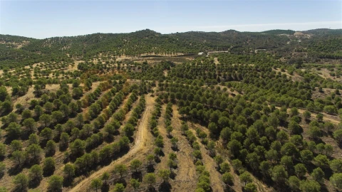 Terreno Agricola ou Rústico para Venda em Vaqueiros