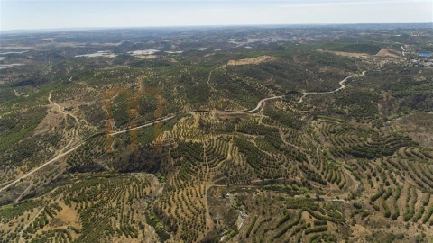Terreno Agricola ou Rústico para Venda em Vaqueiros