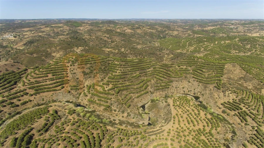 Terreno Agricola ou Rústico para Venda em Vaqueiros Foto 3