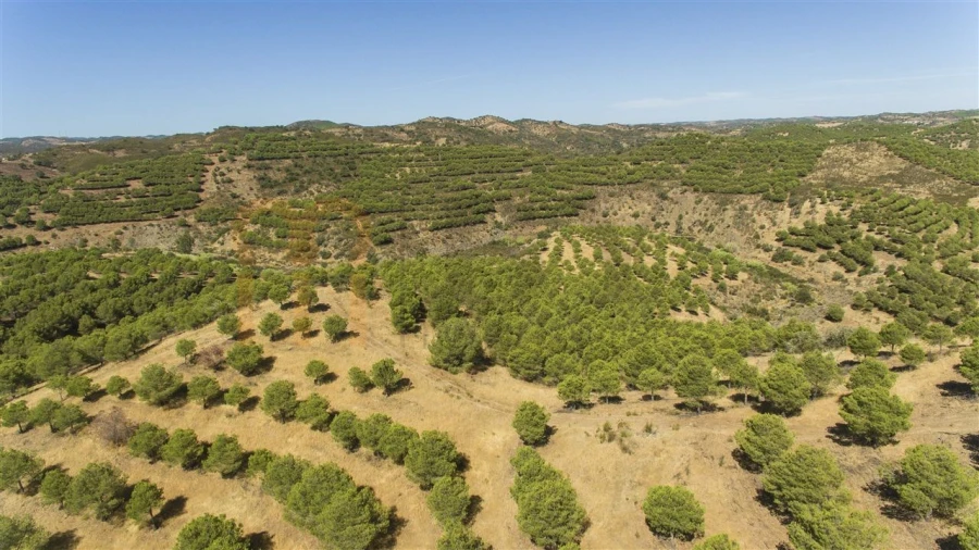 Terreno Agricola ou Rústico para Venda em Vaqueiros Foto 9