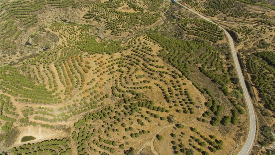 Terreno Agricola ou Rústico para Venda em Vaqueiros Foto 11