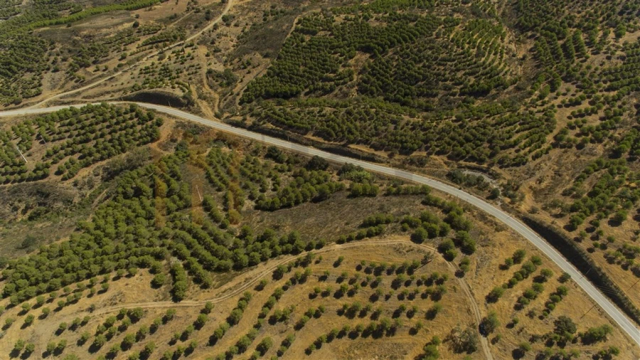 Terreno Agricola ou Rústico para Venda em Vaqueiros Foto 14