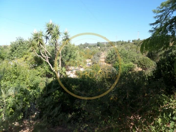 Moradia T3 para Venda em Loule (São Clemente)