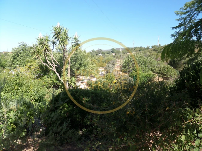 Moradia T3 para Venda em Loule (São Clemente) Foto 57