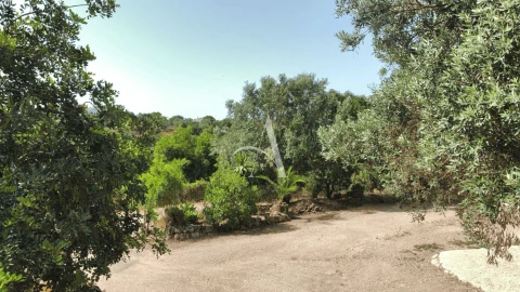 Moradia T3 para Venda em Santa Barbara de Nexe