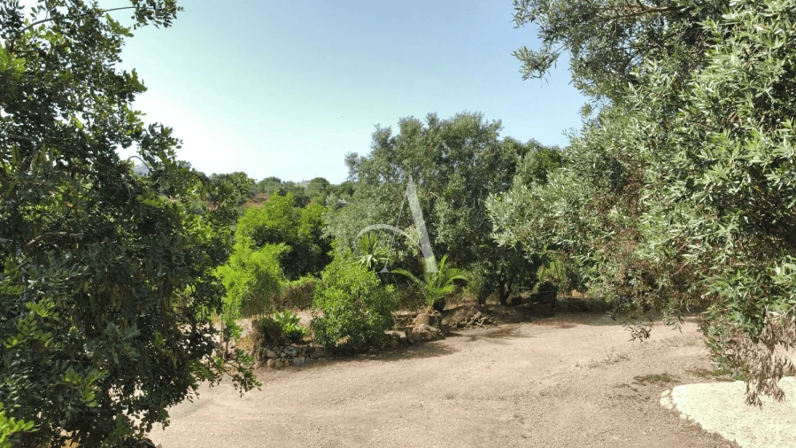 Moradia T3 para Venda em Santa Barbara de Nexe Foto 8