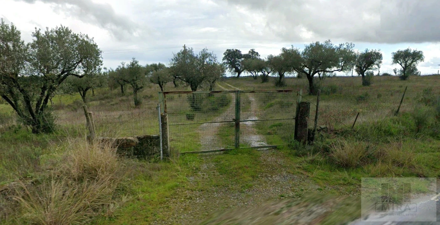 Quinta para Venda em Ladoeiro Foto 14