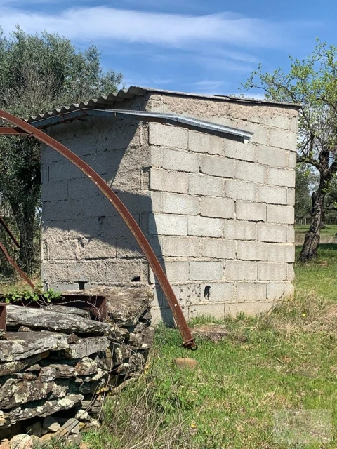 Quinta para Venda em Ladoeiro