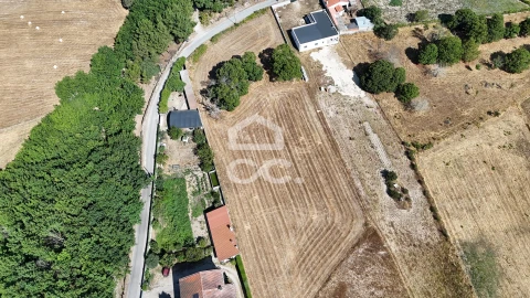 Terreno para Venda em Redondelo
