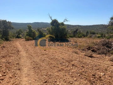 Terreno Agricola ou Rústico para Venda em Paderne