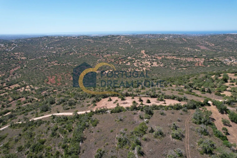 Terreno Agricola ou Rústico para Venda em Paderne Foto 7