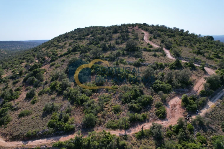 Terreno Agricola ou Rústico para Venda em Paderne Foto 4