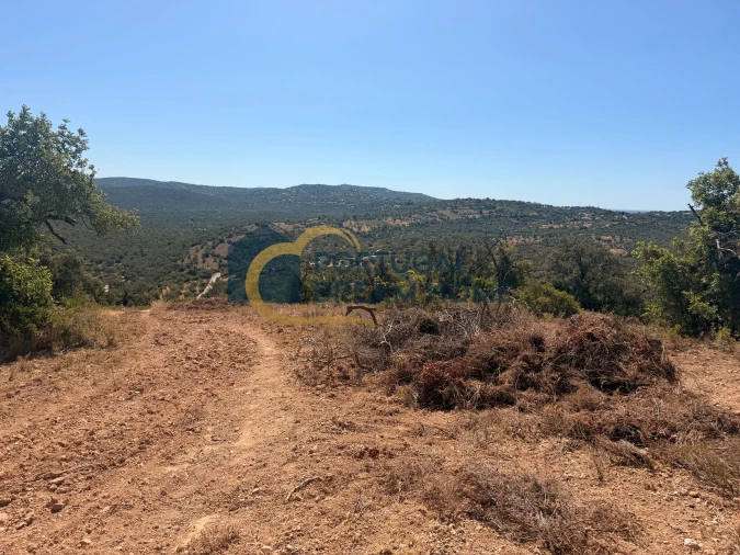 Terreno Agricola ou Rústico para Venda em Paderne Foto 14