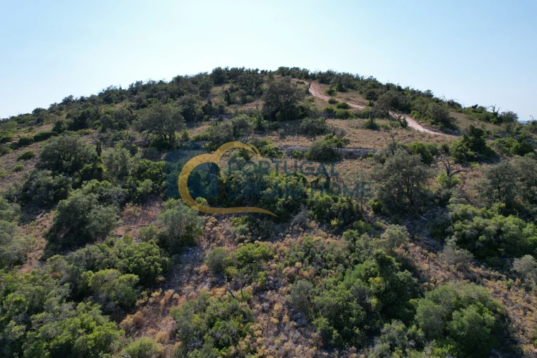 Terreno Agricola ou Rústico para Venda em Paderne Foto 2
