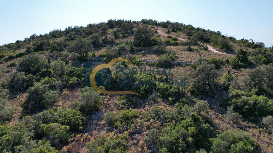 Terreno Agricola ou Rústico para Venda em Paderne