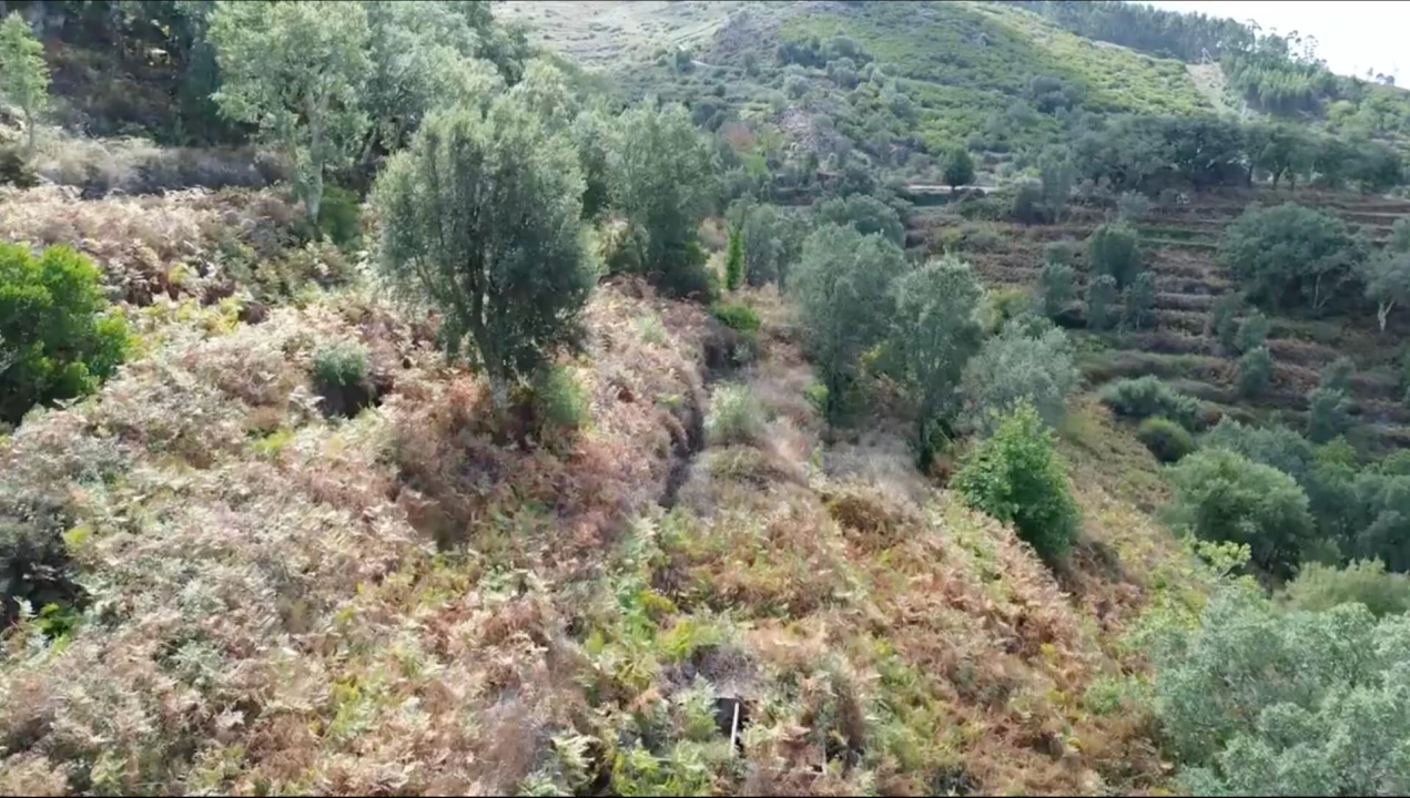Terreno para Venda em Monchique Foto 9