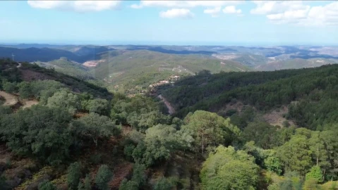 Terreno para Venda em Monchique