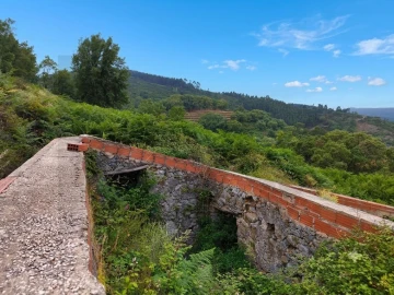 Terreno para Venda em Monchique