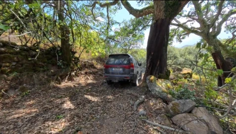 Terreno para Venda em Monchique