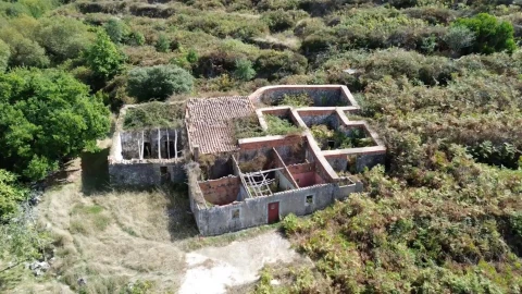 Terreno para Venda em Monchique