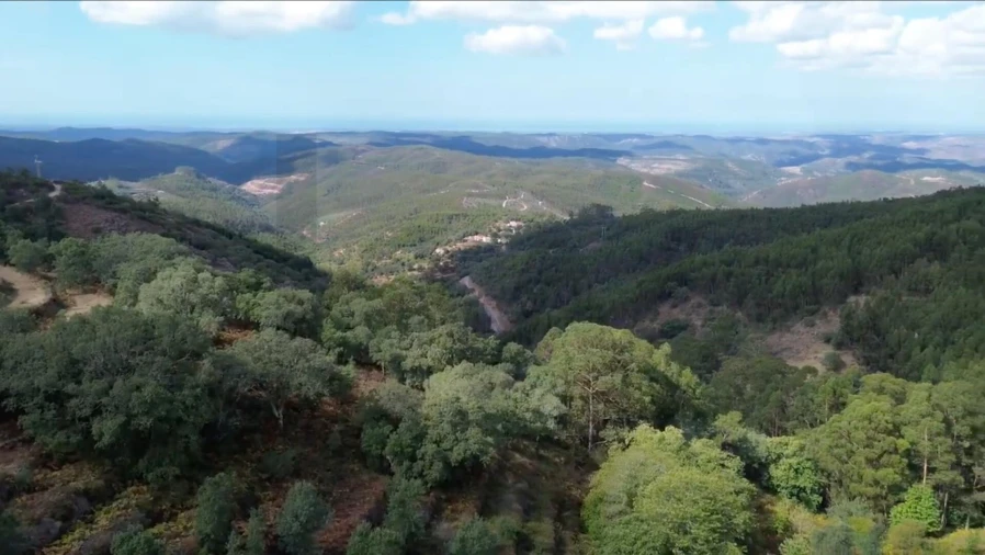 Terreno para Venda em Monchique Foto 2