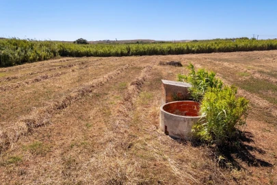 Terreno para Venda em Vila do Bispo e Raposeira