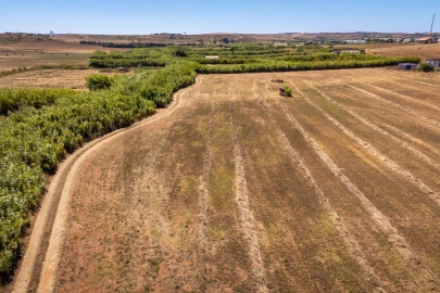 Terreno para Venda em Vila do Bispo e Raposeira