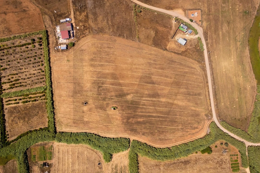 Terreno para Venda em Vila do Bispo e Raposeira Foto 4