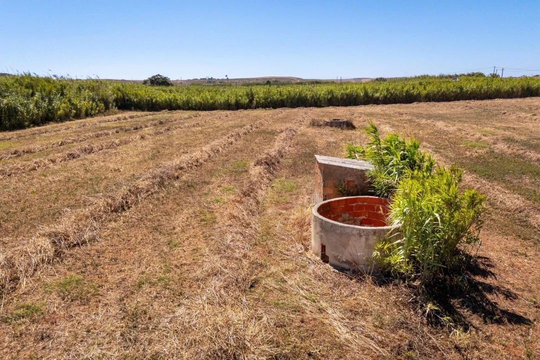 Terreno para Venda em Vila do Bispo e Raposeira Foto 6
