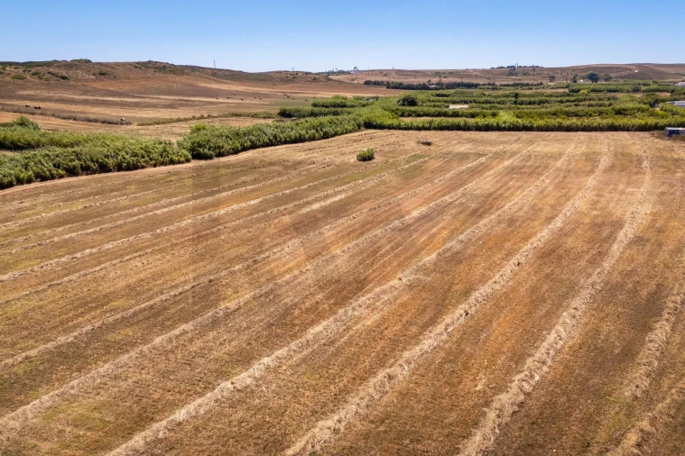 Terreno para Venda em Vila do Bispo e Raposeira Foto 10